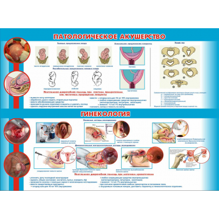 Патологическое акушерство, гинекология